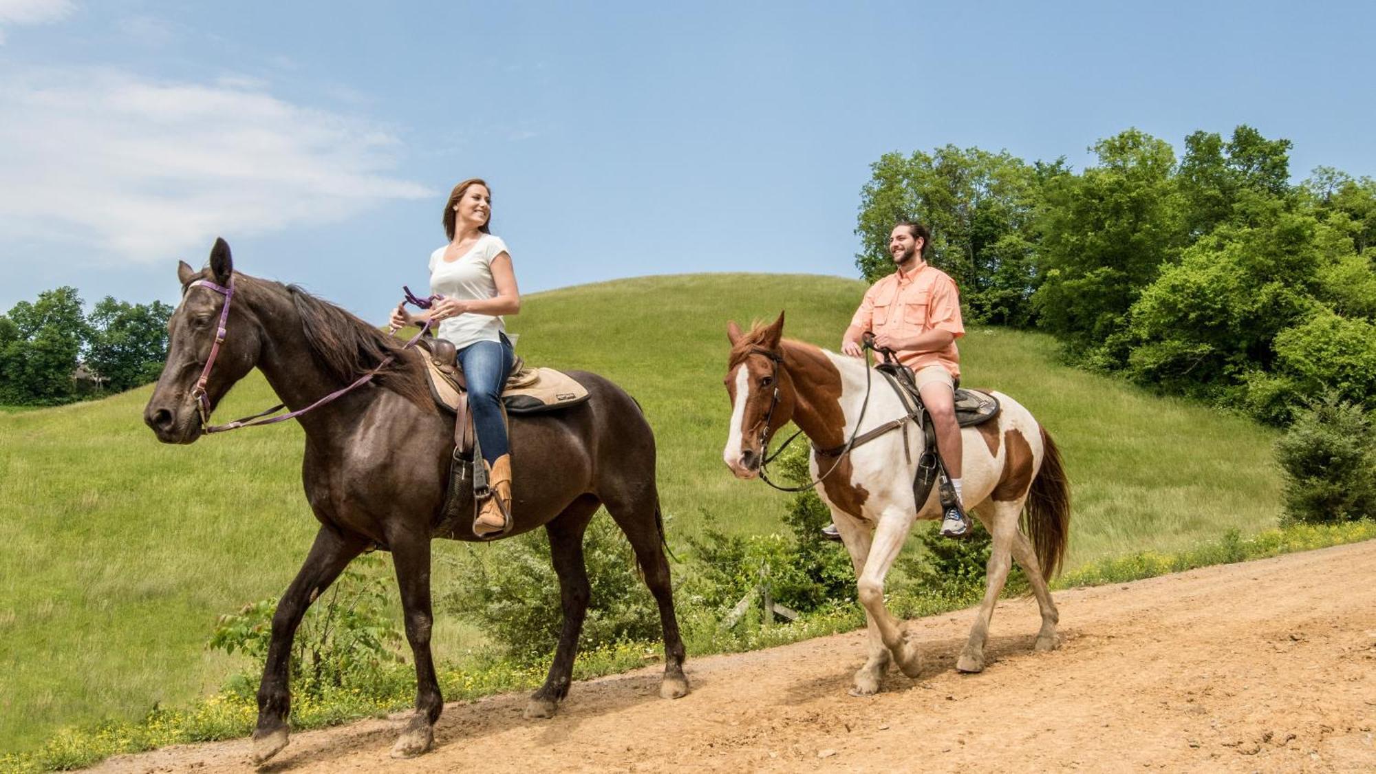 Oak Tree Lodge #3 Pigeon Forge Ngoại thất bức ảnh